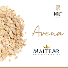 Avena Maltear - Malt Insumos