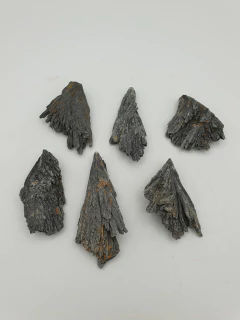 Escoba de Bruja en bruto (taramita) - comprar online