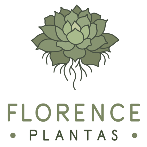 Florence Plantas