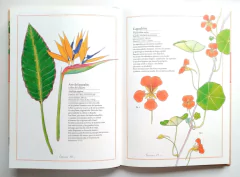 Inventario ilustrado de flores - Abrazandocuentos Inventario ilustrado de flores - Abrazandocuentos