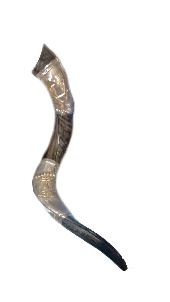 Shofar de antilope con plata XL 89 a 89 cms