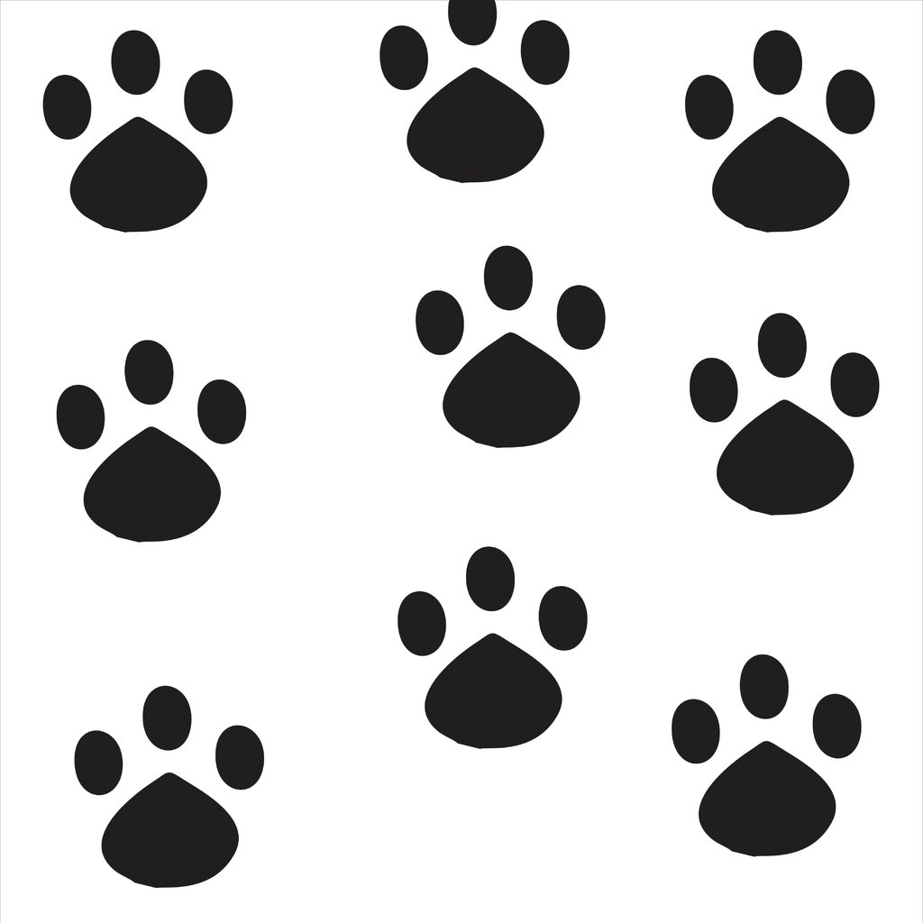 Papel De Parede Pet Animais Gato Cachorro Preto Branco 3m