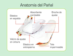 Pack x 3 Pañales Ecológicos Estampados Con Absorbentes Intercambiables x 3 Unidades / unitalla de 0 a 30 meses - comprar online