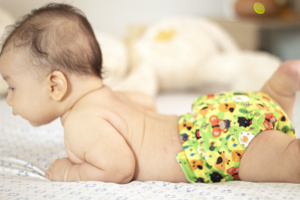 Pañal Ecológico Absorbente Intercambiable Estapado Zoo / Unitalla de 0