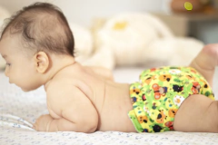 Pañal Ecológico Absorbente Intercambiable  Estampado de Jirafas y Elefantes / Unitalla de 0 a 30 meses - buy online