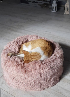 Cama para mascotas en internet