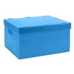 Caja Archivo Plastico Plana 805 Con tapa 38x38x38 cm - Pack x10