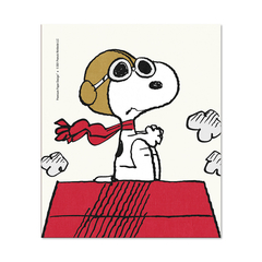 Paño Limpia Lentes (aviador) – Snoopy