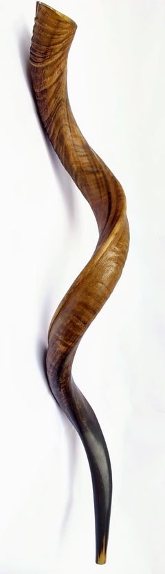 shofar 114cm - comprar online