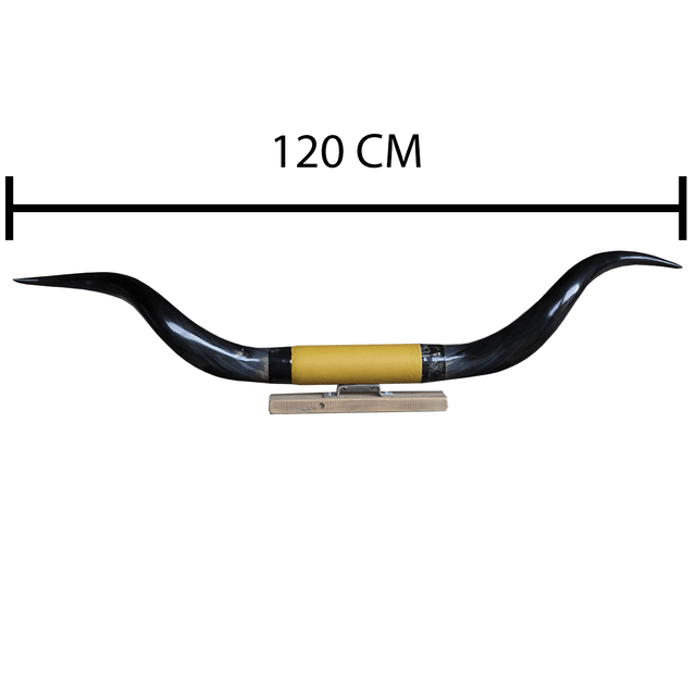 '' CABEÇA '' De boi - Enfeite - Berrantes Agrizzi