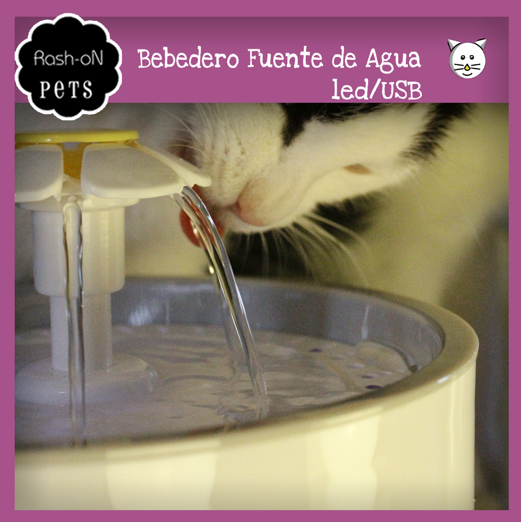 Bebedero fuente de agua automática para Perros y Gatos con Led Usb