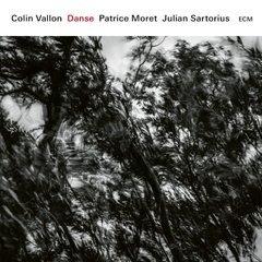 COLIN VALLON TRIO / DANSE