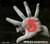 TOMMY GUBITSCH / 5 (CD + DVD)