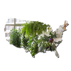 Espelho Decorativo Mapa Dos Estados Unidos Médio - comprar online