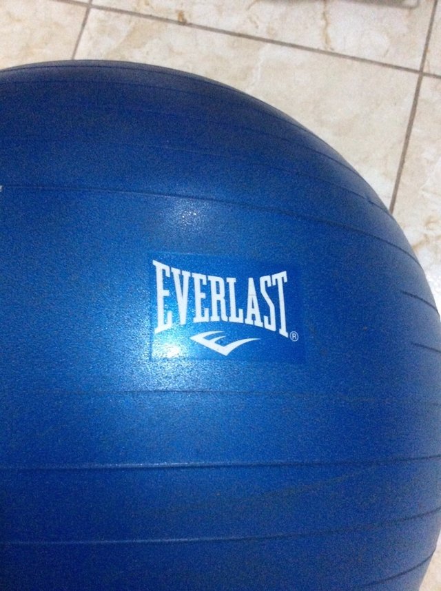 Bola de Pilates Azul Fitball 65 cm CL2454 Everlast | Produto Usado