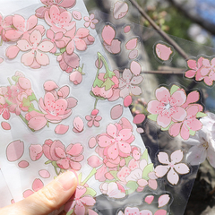 Stickers PET y Washi Cherry Blossom 