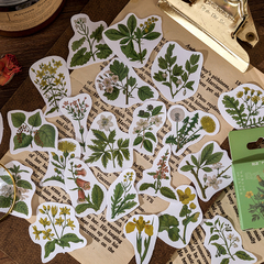 Stickers Cajita Forest Flores Silvestres