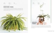 Imagen de LEAF SUPPLY: A Guide to Keeping Happy House Plants