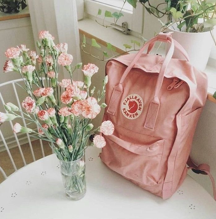 aesthetic kanken