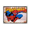 CHAPA VINTAGE: SPIDERMAN - MARVEL