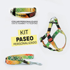 kit PASEO PERSONALIZADO - comprar online