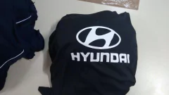 Capa Hyundai Grand Santa Fé na internet