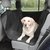Perro en auto con funda para asiento