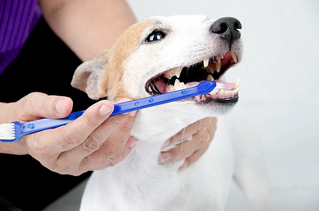 delicado preposición rastro Cepillo de dientes para perros (x2)