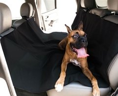 Perro bulldog viajando en auto