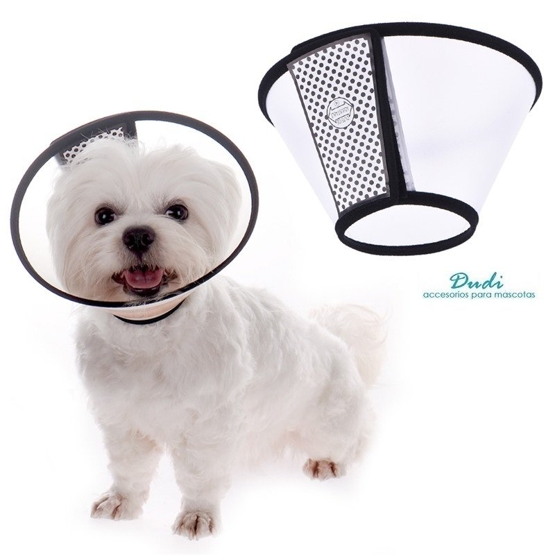 collar-isabelino-para-perros-o-gatos