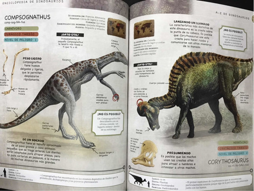 Enciclopedia de dinosaurios - Semillas de Menta Enciclopedia de dinosaurios - Semillas de Menta
