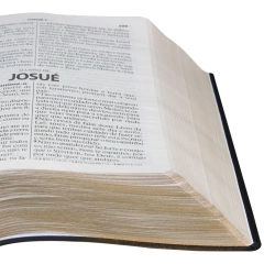 RA067LGI - BÍBLIA SAGRADA LETRA GIGANTE PRETA - comprar online