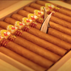 LA GLORIA CUBANA - GLORIAS - EXCLUSIVO CASA DEL HABANO UNIDAD - La Casa del Habano