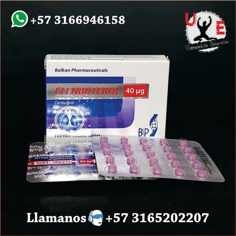 3 Möglichkeiten, mit Hilfe Ihres Hundes ein besseres fitnessoskar steroide zu erstellen