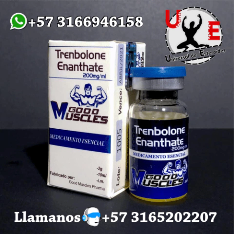La guía completa para comprender la https://mejores-esteroides.com/categoria-producto/inyeccin-de-esteroides-anablicos/mezcla-de-testosterona/