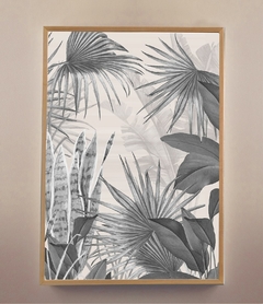 PLANTACIÓN (Sin vidrio) - tienda online
