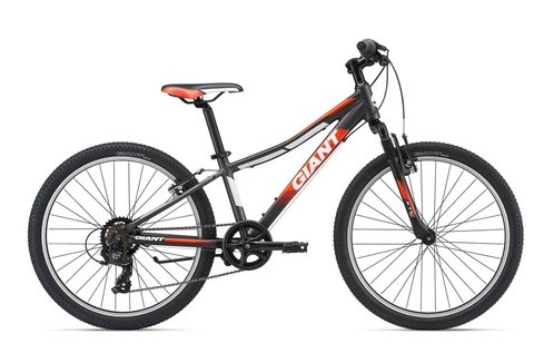 Bicicleta giant rodado 24