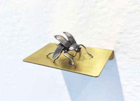 prendedor escarabajo - Supuesto
