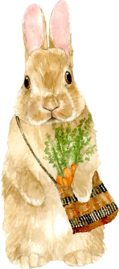 Conejito y sus zanahorias - comprar online