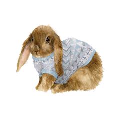 Conejito con sweater personalizado en internet