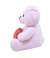 Urso Rosa Coração 33cm Pelúcia Fofy Toys