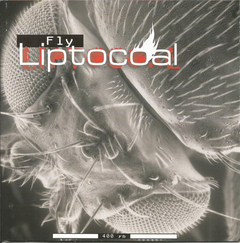 LIPTOCOAL - Fly