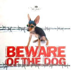 The Joke - Beware of the Dog Cd
