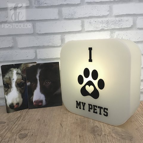 Luminária Ledito Box - I Love My Pets - comprar online