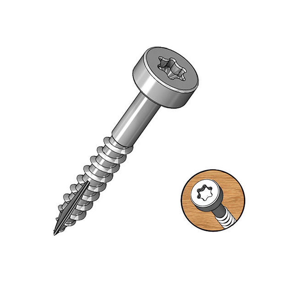 Milescraft Tornillos Torx 1 Pulgada (25mm) x100 Unidades