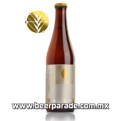 Principia American Wheat Ale - Beer Parade