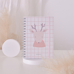 Cuaderno Pediátrico en internet