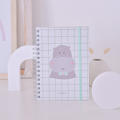Imagen de Cuaderno Pediátrico