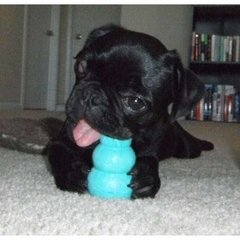 Kong Puppy X-small Para Perros El Juguete Nº 1 Del Mundo!!! - comprar online