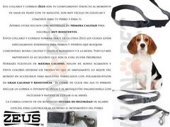 Imagen de Correa Zeus Large 1,2m Para Perros Ideal Bulldog Beagle